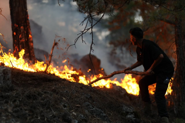 Ağustos sıcaklarında orman yangınları
