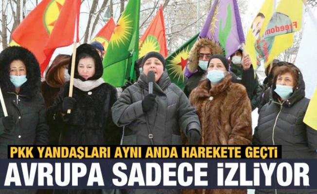Avrupa aynı kafada: PKK eylemlerini sadece izlediler
