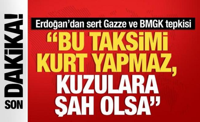 Başkan Erdoğan'dan BM'ye Gazze tepkisi: Bu taksimi kurt yapmaz, kuzulara şah olsa