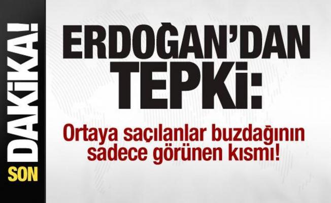 Başkan Erdoğan'dan tepki: Ortaya saçılanlar buzdağının sadece görünen kısmı...