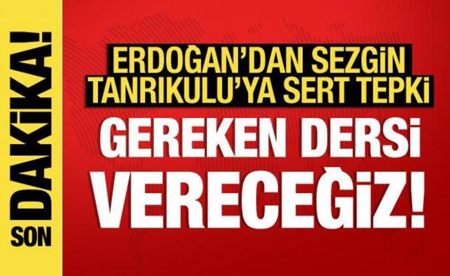 Cumhurbaşkanı Erdoğan'dan CHP'li Tanrıkulu'na sert tepki: Terörist müsveddesi!