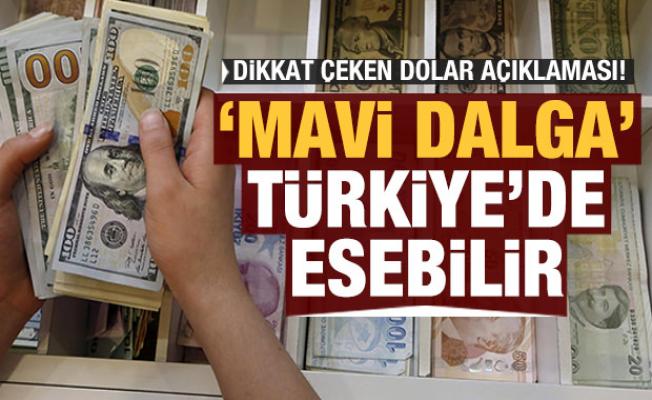 Dikkat çeken dolar açıklaması: 'Mavi dalga' Türkiye'de esebilir