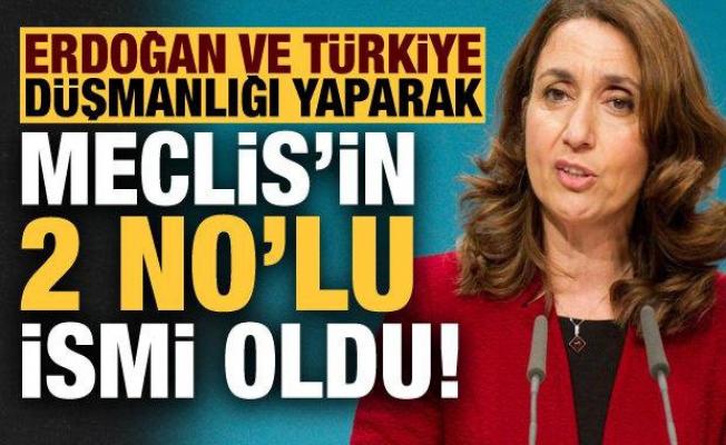 Erdoğan ve Türkiye düşmanlığı yaparak Meclis'in 2 numaralı ismi oldu!