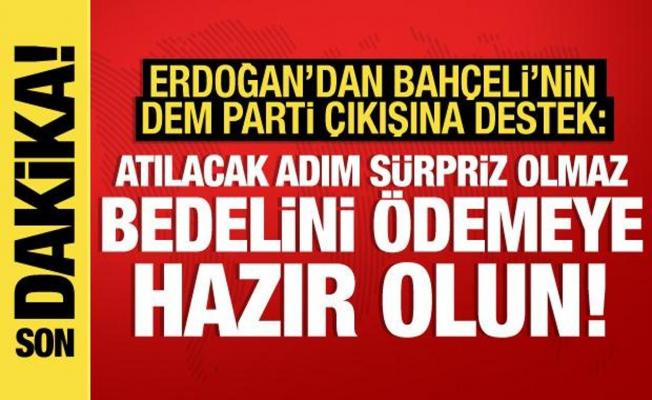 Erdoğan'dan Bahçeli'nin DEM Parti çıkışına destek: Bedelini ödemeye hazır olmalılar