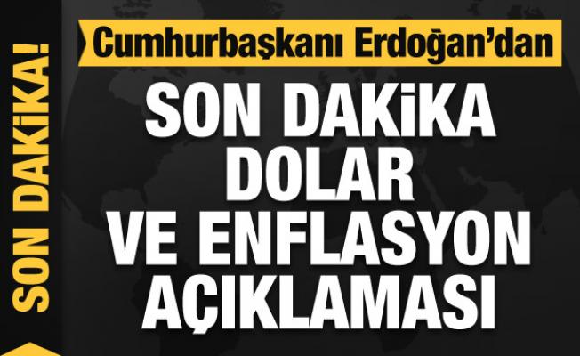 Erdoğan'dan döviz kuru ve enflasyon açıklaması
