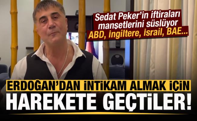 Erdoğan'dan intikam almak için Sedat Peker'in iftiralarına sığındılar!