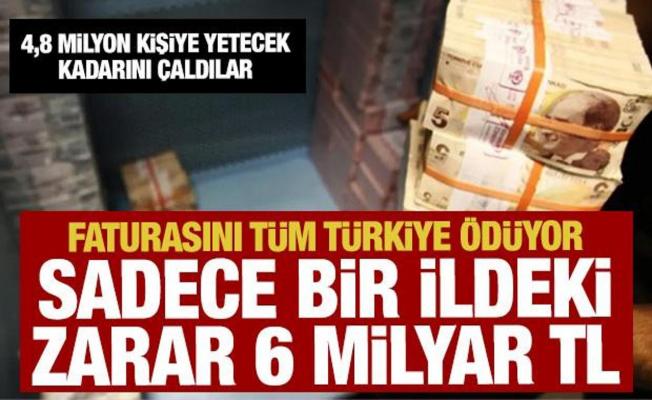 Faturasını tüm Türkiye ödüyor! Sadece bir ilde çalınan miktar 6 milyar TL