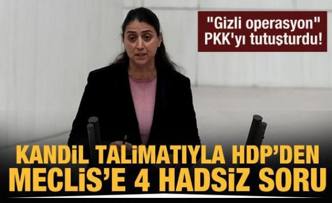 HDP'den Meclis'te akılalmaz soru önergesi