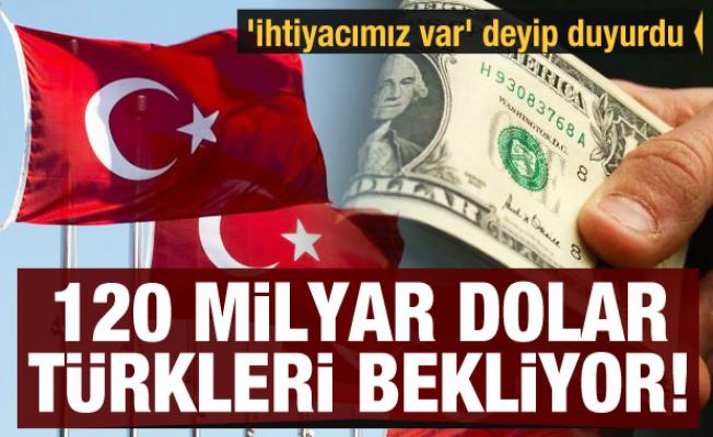 'İhtiyacımız var' deyip duyurdu: 120 milyar dolar Türkleri bekliyor!