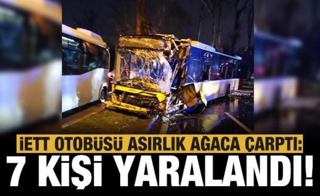 İstanbul Sarıyer'de İETT otobüsü asırlık ağaca çarptı: 7 yaralı