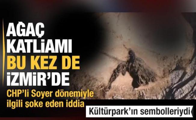 İstanbul'dan sonra bu kez de İzmir'de ağaç katliamı 