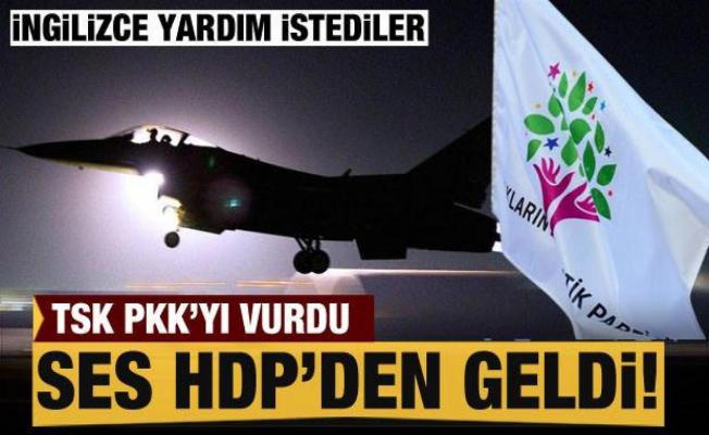 Mehmetçik PKK'yı vurdu HDP Avrupa'dan yardım istedi!