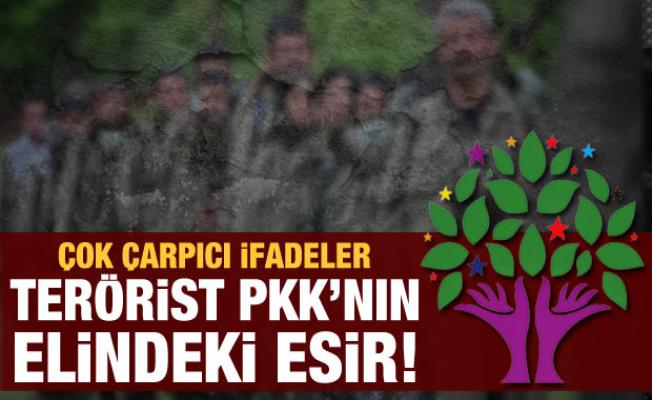 Nedim Şener'den dikkat çeken yazı: Terörist PKK’nın elindeki ‘esir’ HDP
