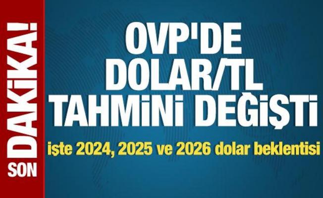 OVP'de dolar/TL tahmini değişti: İşte 2024, 2025 ve 2026 dolar beklentisi