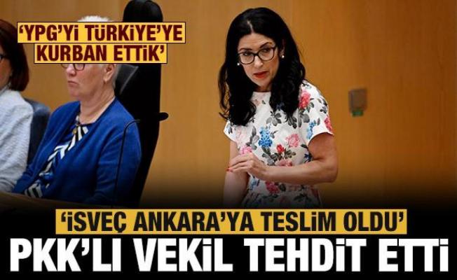PKK destekçisi milletvekili Kakabaveh hükümeti hedef aldı: İsveç Ankara'ya teslim oldu