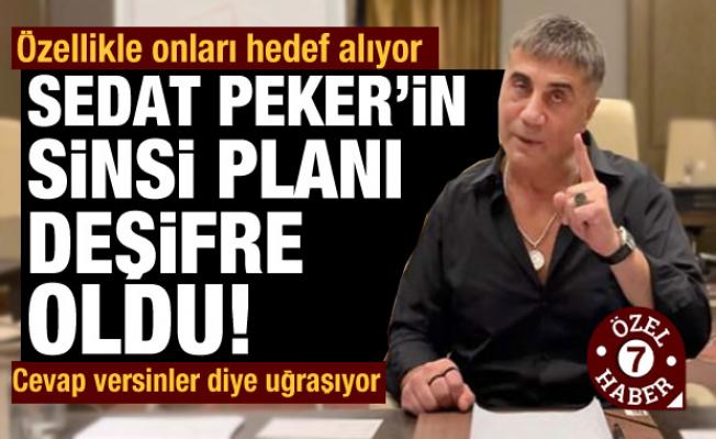 Sedat Peker'in sinsi planı deşifre oldu: Özellikle onları hedef alıyor!
