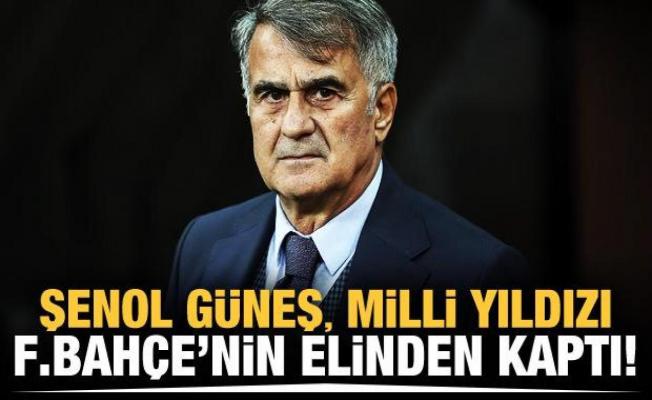 Şenol Güneş, milli yıldızı Fenerbahçe'nin elinden kaptı!