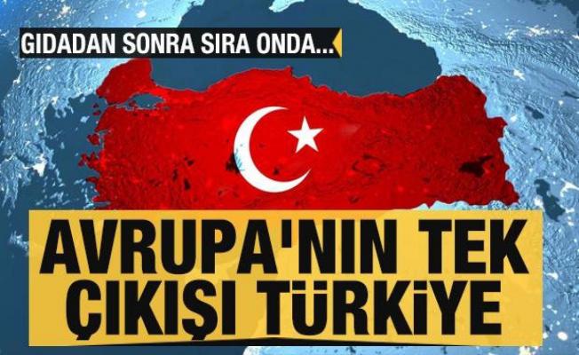 Soçi zirvesi sonrası kritik açıklama: Avrupa'nın tek çıkışı Türkiye