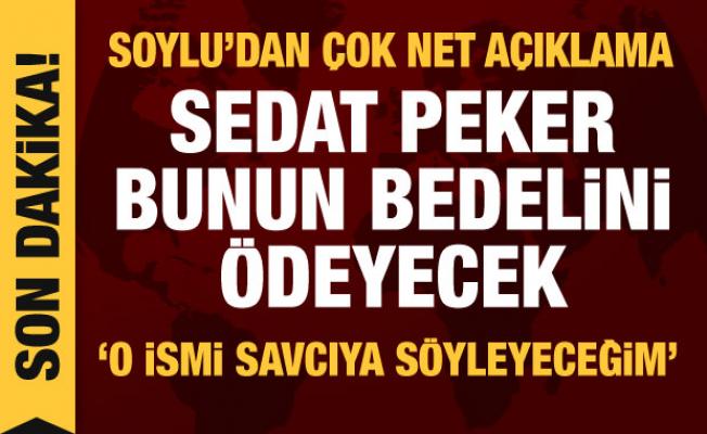 Son dakika haberi: Bakan Soylu'dan Sedat Peker hakkında önemli açıklamalar