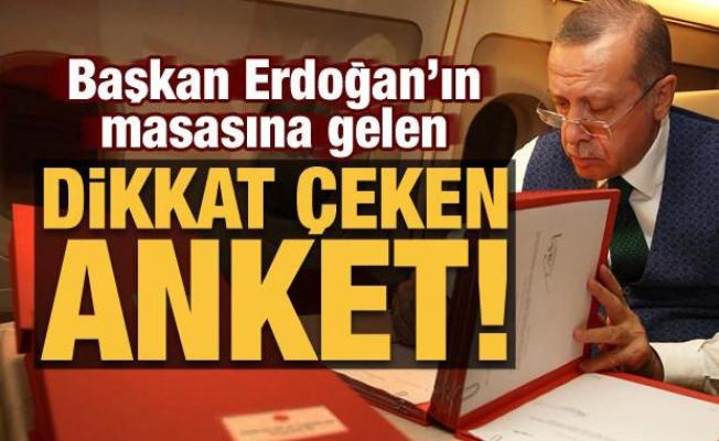 Son dakika haberi: Başkan Erdoğan'ın masasına gelen dikkat çeken anket!