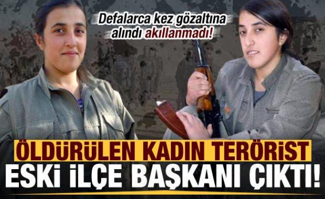 Son dakika: Öldürülen kadın terörist eski HDP İlçe başkanı çıktı!