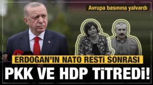 Erdoğan'ın NATO resti sonrası PKK, Norveç basınında yalvardı