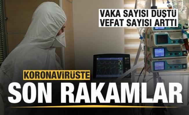Türkiye'de koronavirüste son rakamlar!