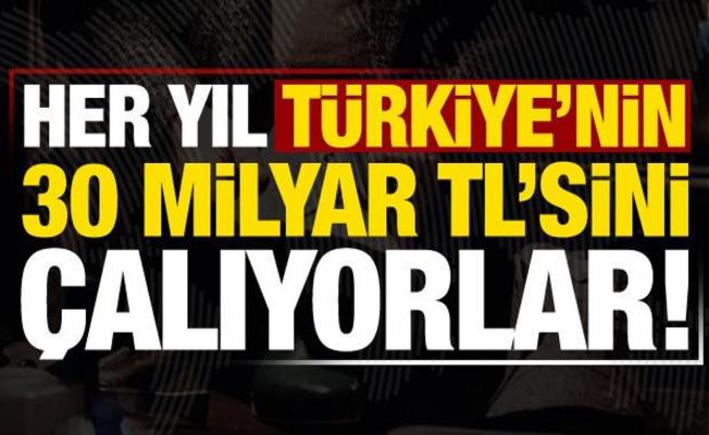 Türkiye'den her yıl 30 milyar TL çalıyorlar!