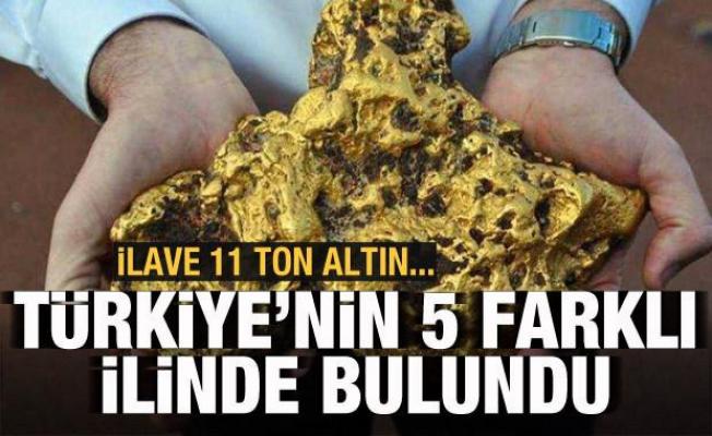 Türkiye'nin 5 farklı ilinde bulundu! İlave 11 ton altın...