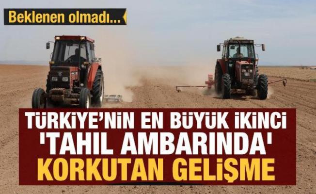 Türkiye'nin en büyük ikinci 'tahıl ambarı' Eskişehir'de kuraklık endişesi